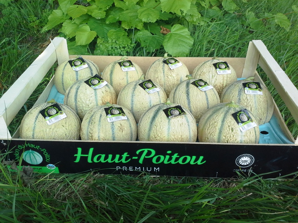 Cageot de melons