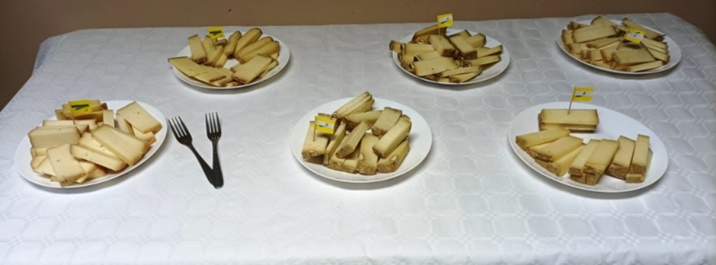 Caseologie Haute Gironde 6 fromages