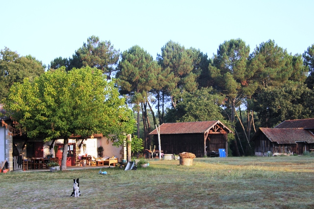 Ferme des filles matin