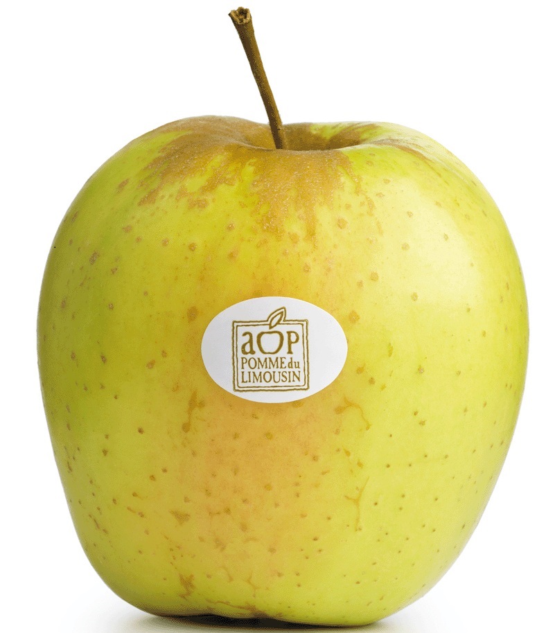 pomme du limousin